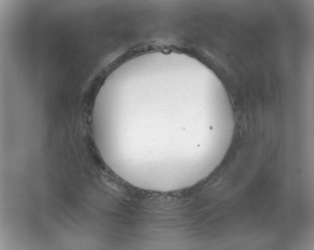 X0000063521207200602101942