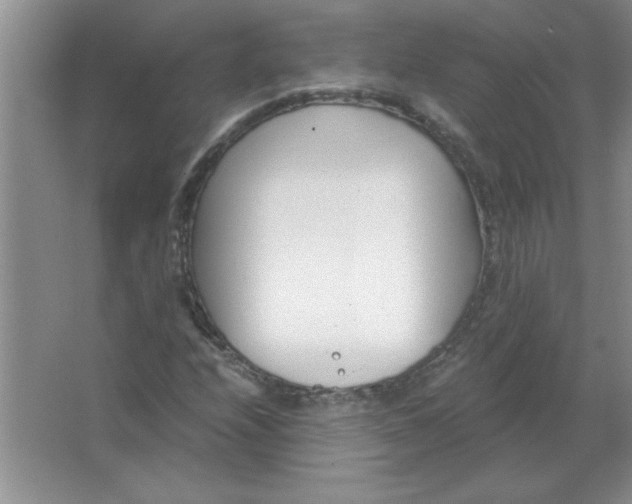 X0000063521208200602101942