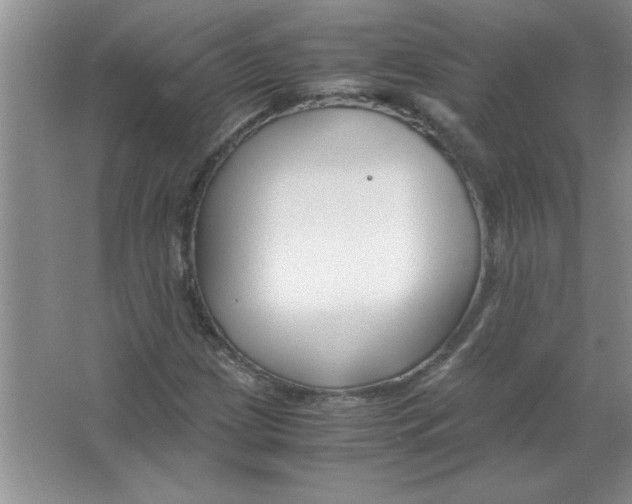 X0000063521209200602101942