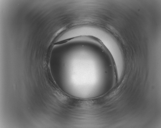 X0000063521210200602101942