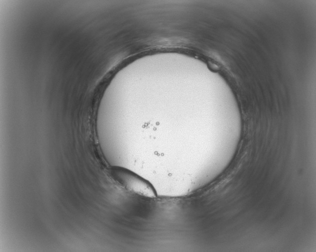 X0000063521211200602101943