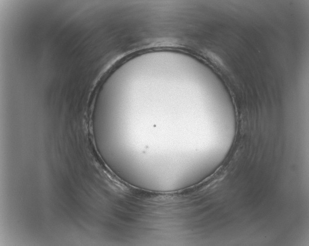 X0000063521212200602101943