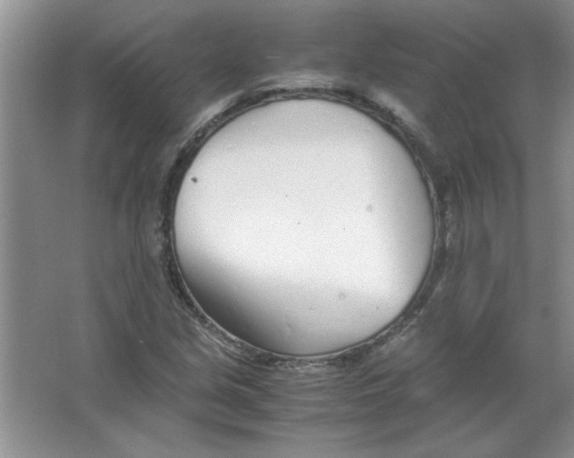 X0000063521213200602101943