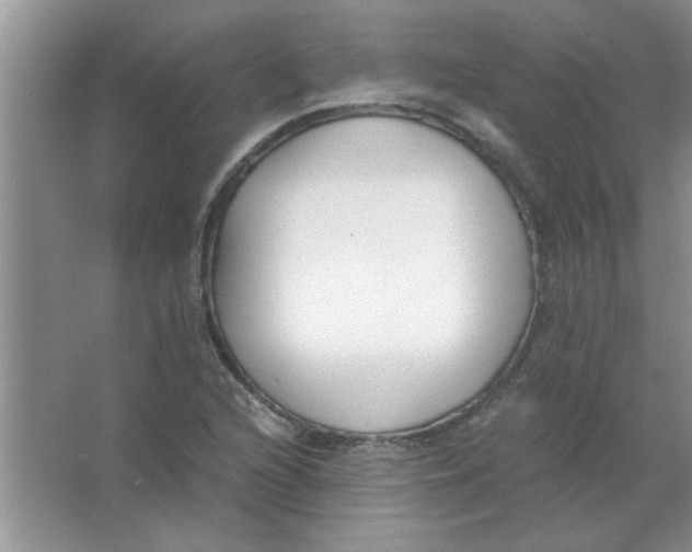 X0000063521216200602101943