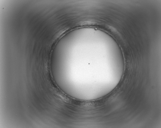 X0000063521217200602101943