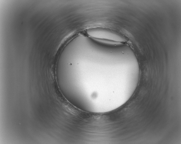 X0000063521218200602101943