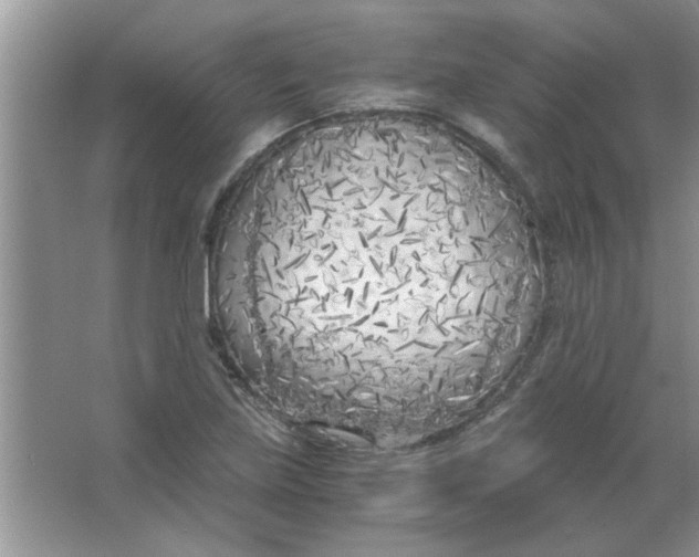 X0000063521219200602101943