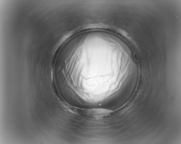 X0000063521221200602101943