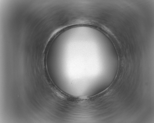 X0000063521222200602101943