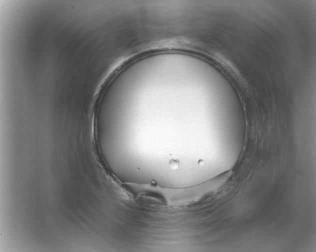 X0000063521224200602101943