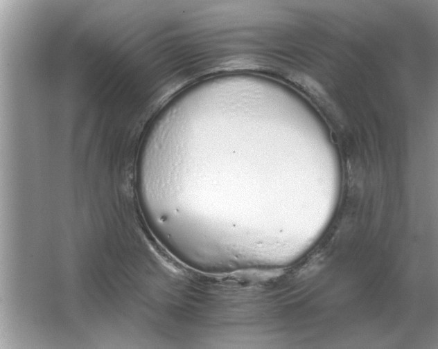 X0000063521225200602101943