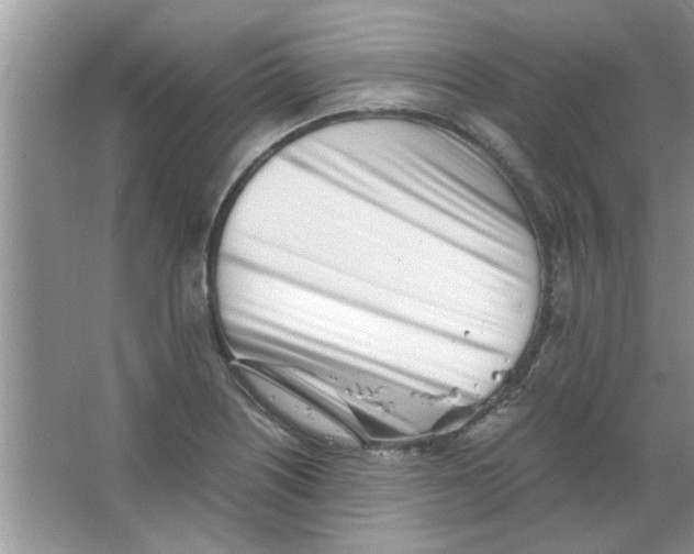 X0000063521226200602101943