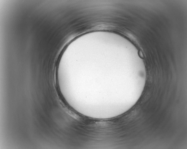 X0000063521227200602101943