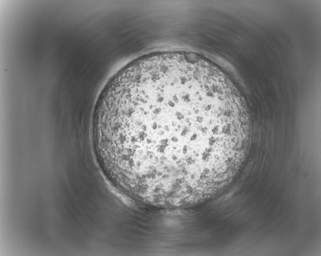 X0000063521231200602101943