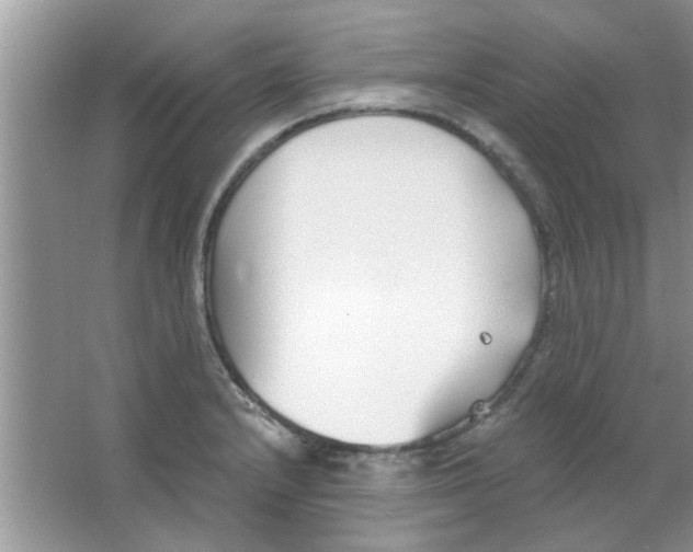 X0000063521232200602101943