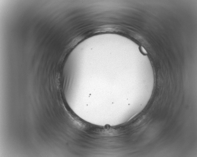 X0000063521233200602101943