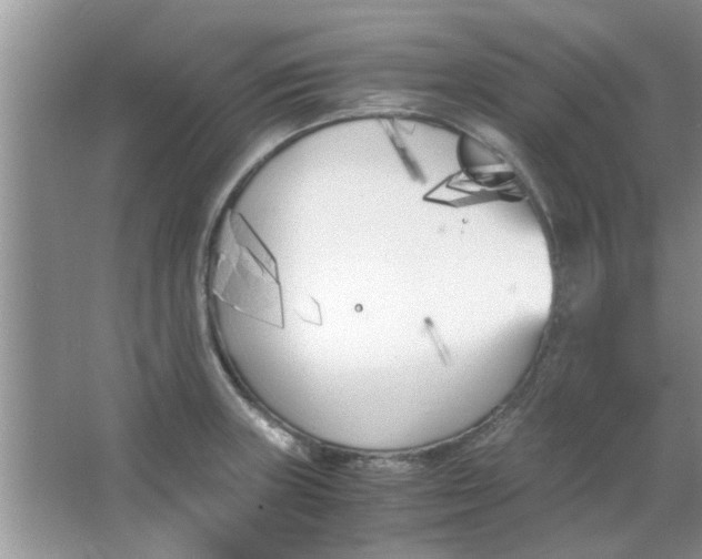 X0000063521235200602101943