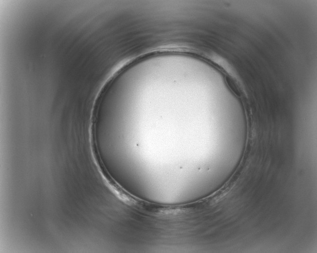 X0000063521237200602101943