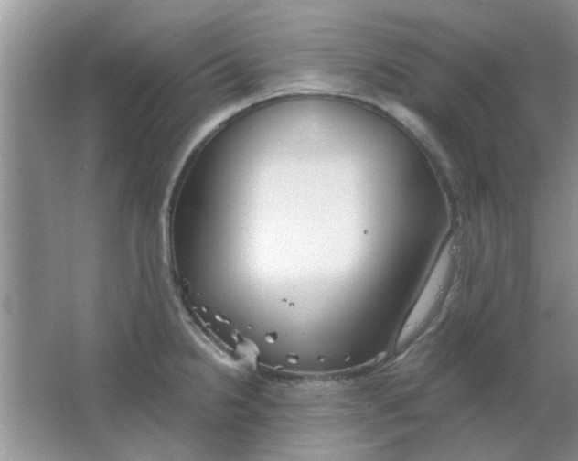 X0000063521238200602101943