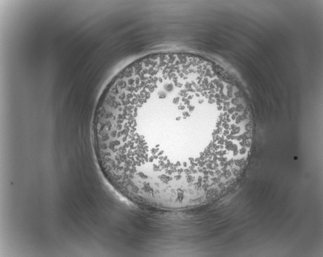 X0000063521239200602101943