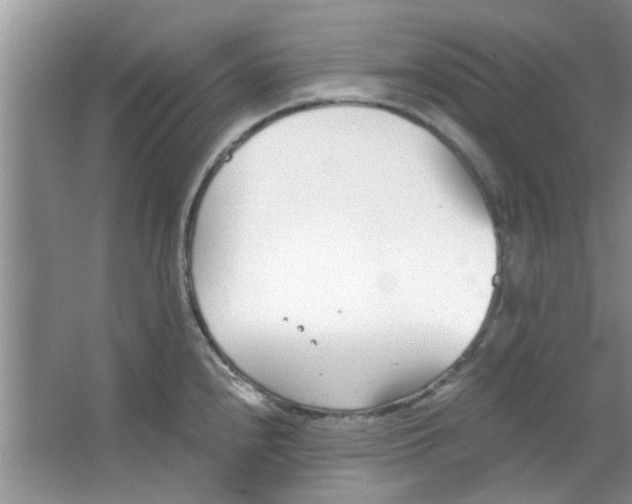 X0000063521240200602101943