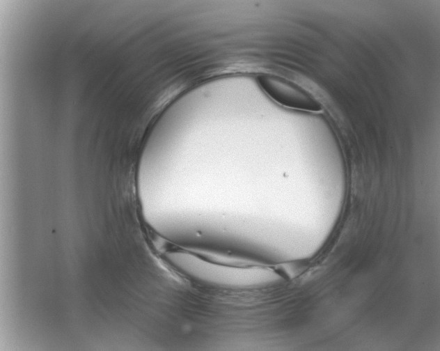 X0000063521241200602101943