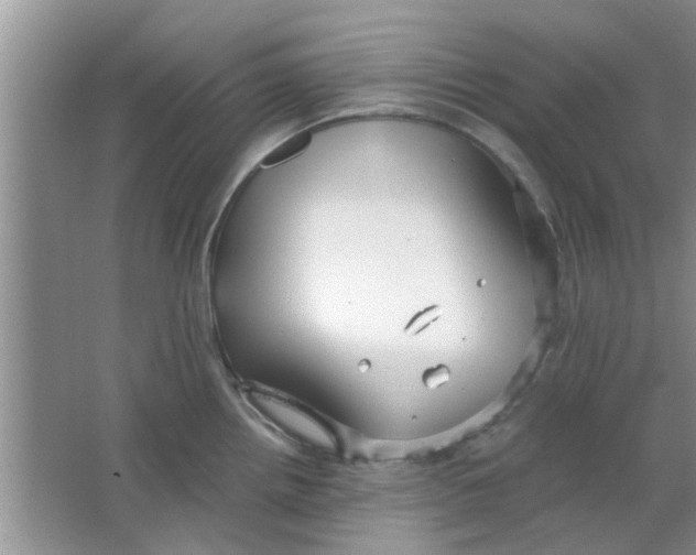 X0000063521242200602101943