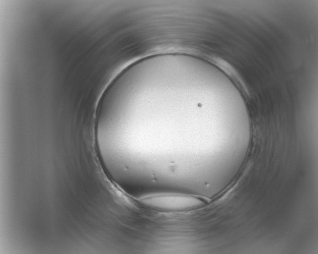 X0000063521244200602101943