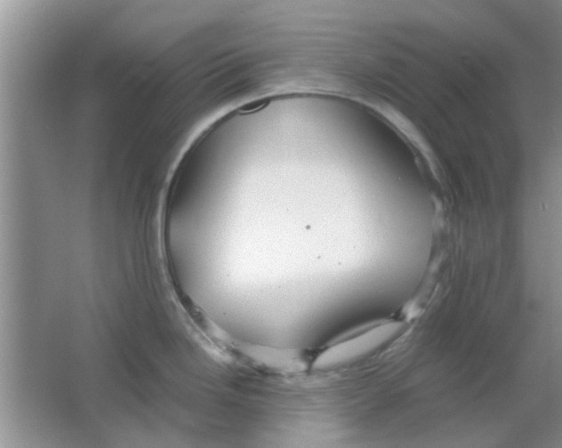 X0000063521246200602101943