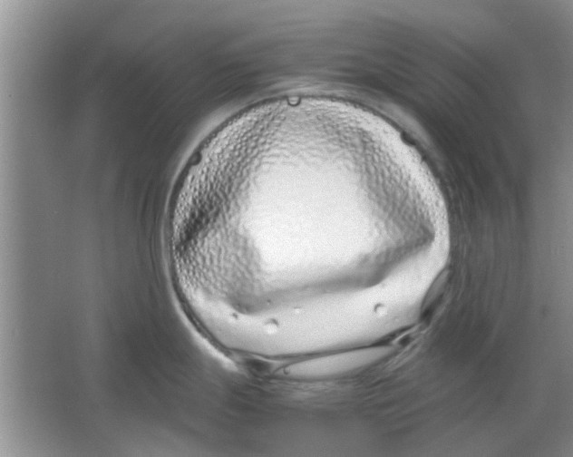 X0000063521247200602101943