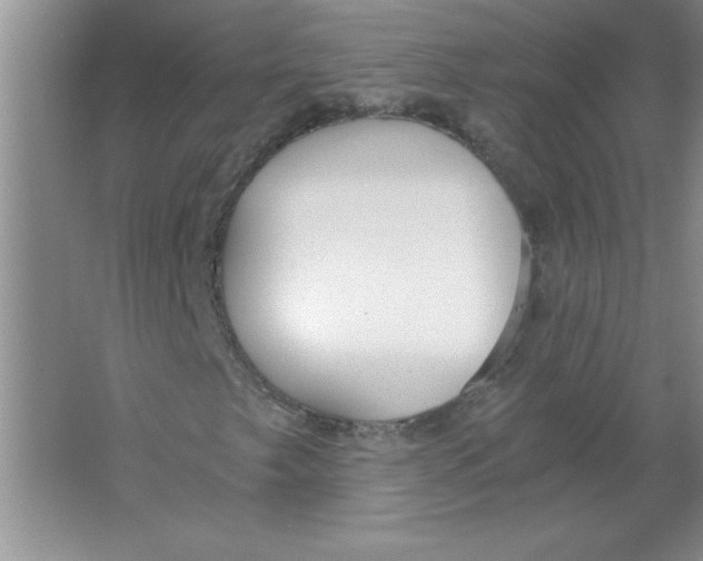 X0000063521249200602101942