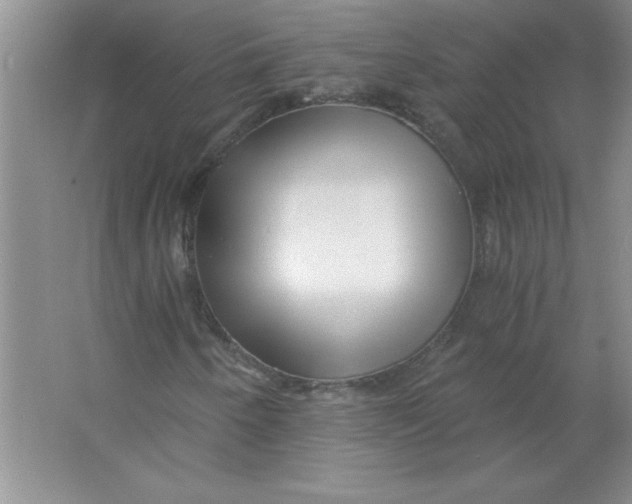 X0000063521250200602101942