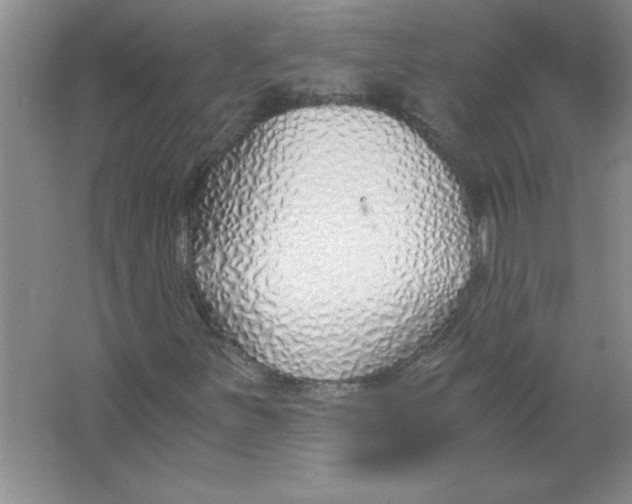 X0000063521251200602101942