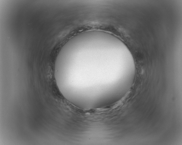 X0000063521253200602101942