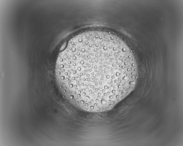 X0000063521255200602101942