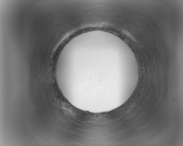 X0000063521256200602101942