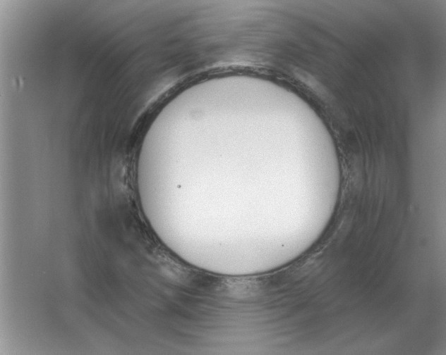 X0000063521258200602101942