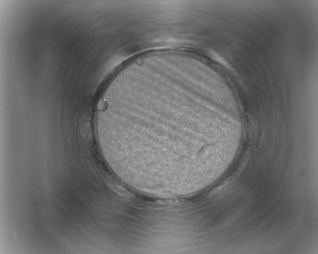 X0000063521259200602101942