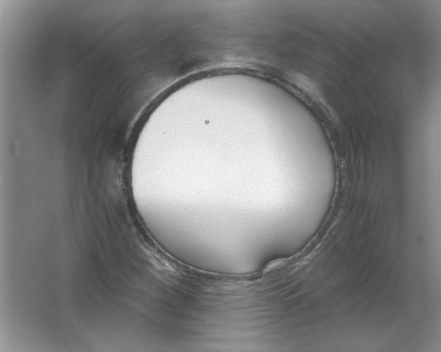 X0000063521260200602101942