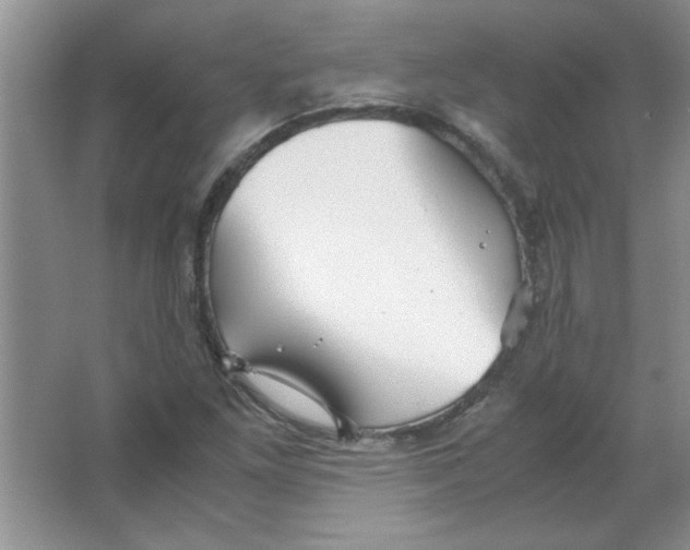 X0000063521261200602101942