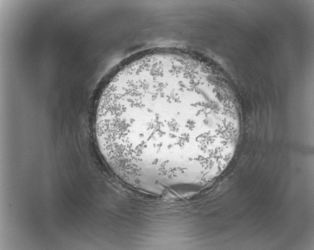 X0000063521263200602101942