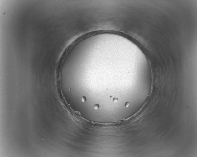 X0000063521264200602101942