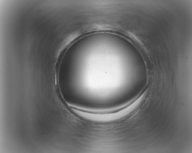 X0000063521269200602101942