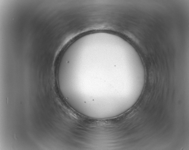 X0000063521270200602101942