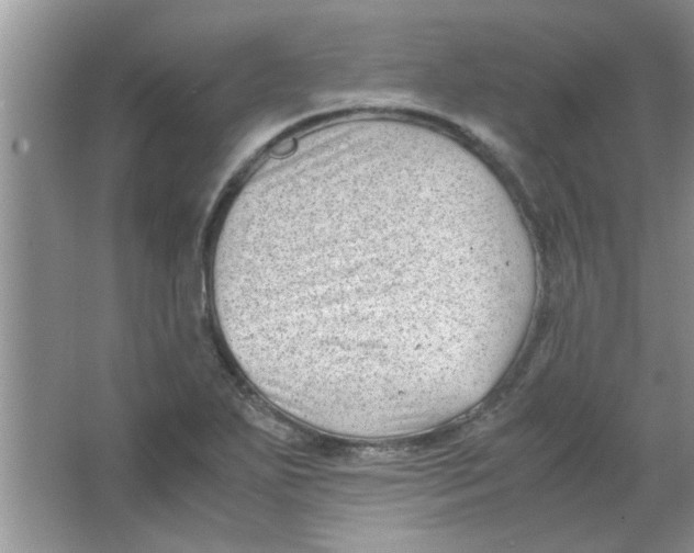 X0000063521271200602101942