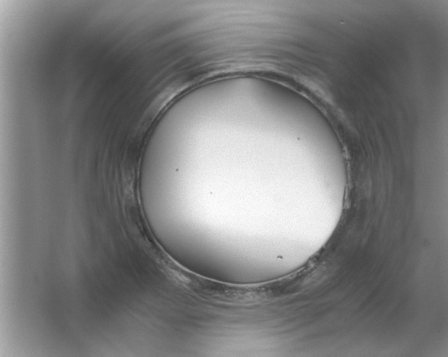 X0000063521273200602101942