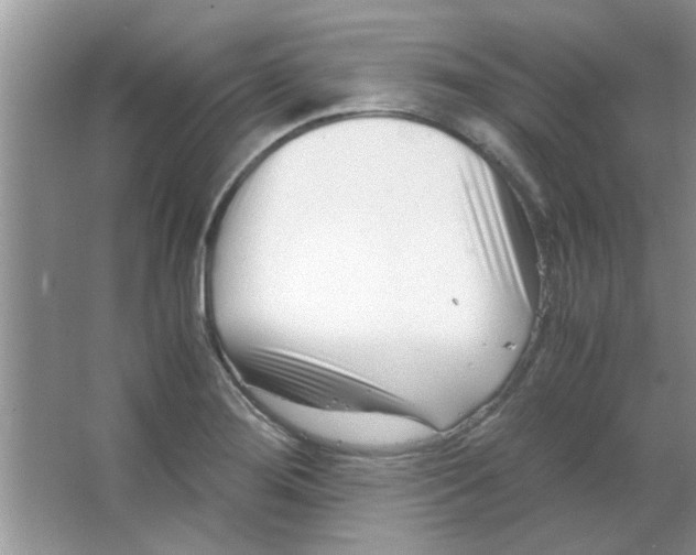 X0000063521276200602101942