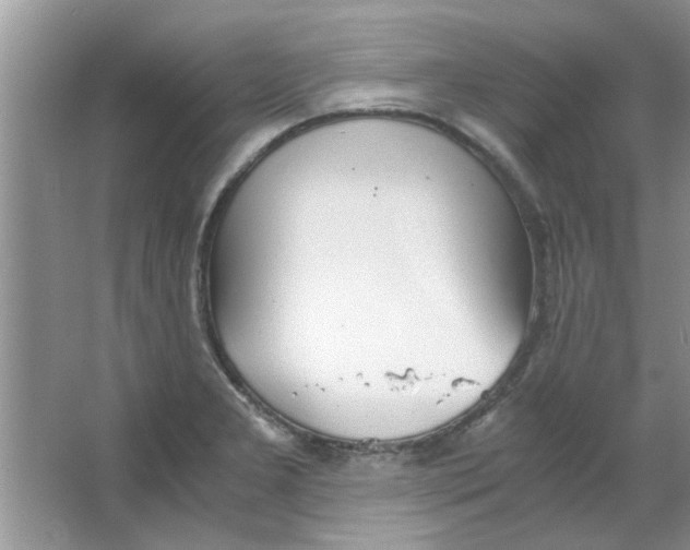 X0000063521277200602101942