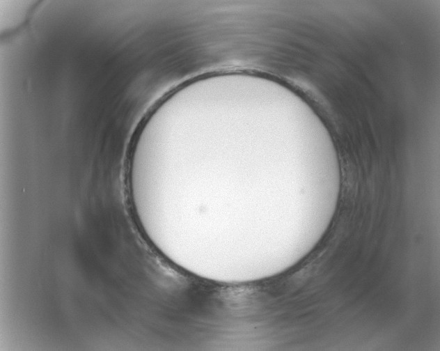 X0000063521278200602101942