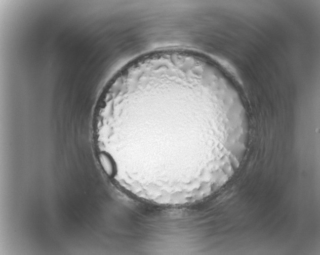 X0000063521279200602101942